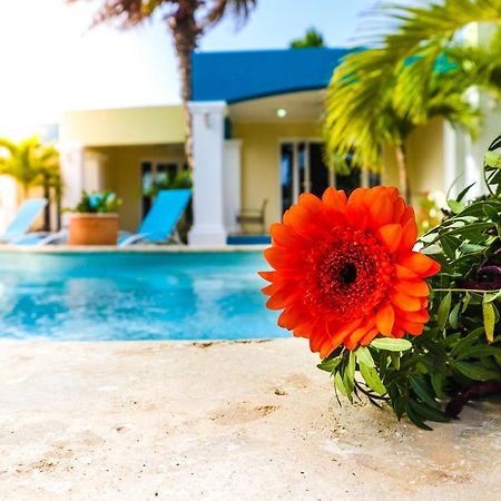 Aqua Viva Suites Kralendijk na wyspie Bonaire Zewnętrze zdjęcie
