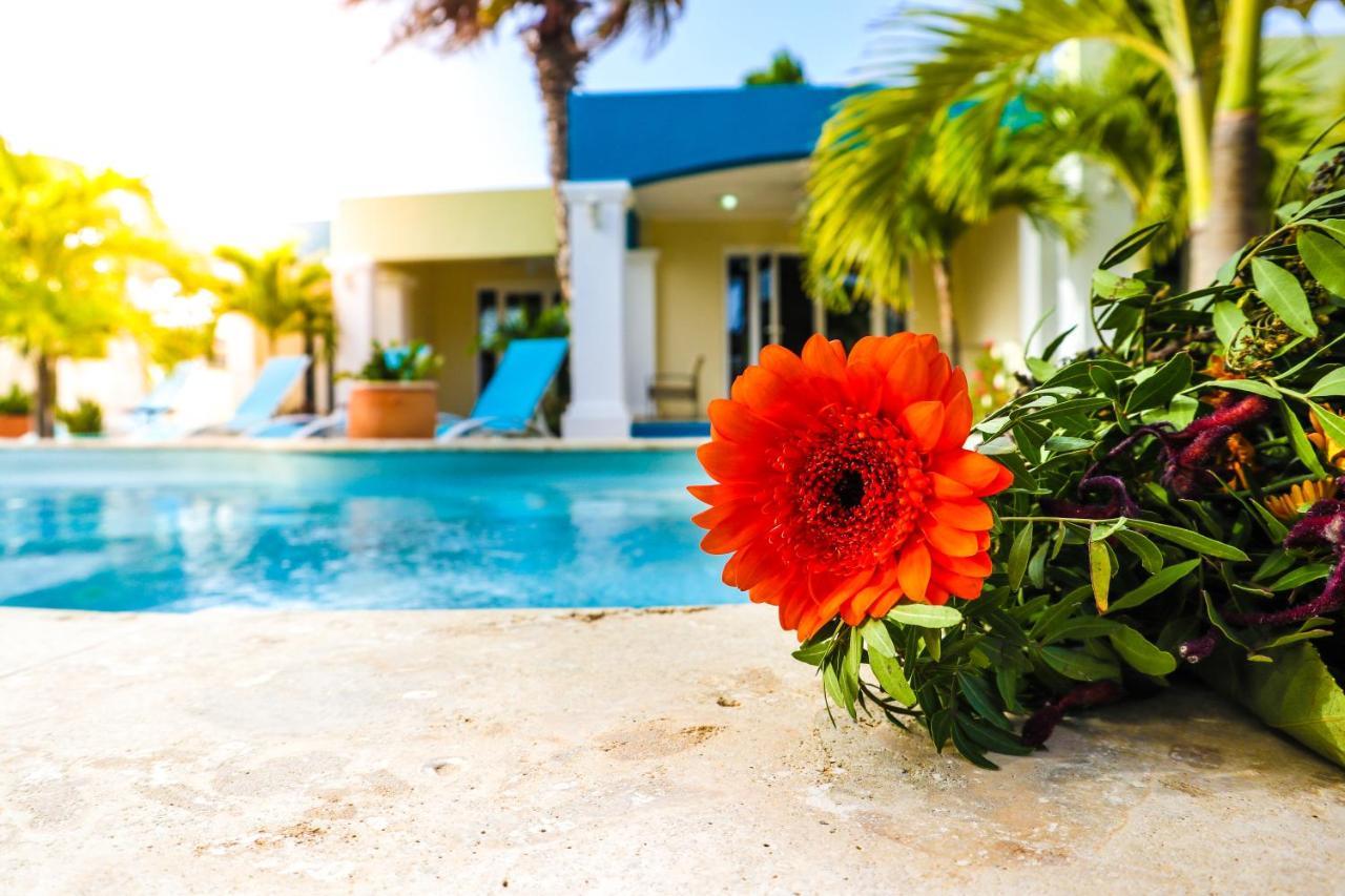 Aqua Viva Suites Kralendijk na wyspie Bonaire Zewnętrze zdjęcie