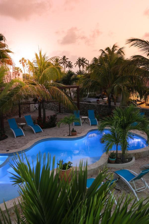 Aqua Viva Suites Kralendijk na wyspie Bonaire Zewnętrze zdjęcie